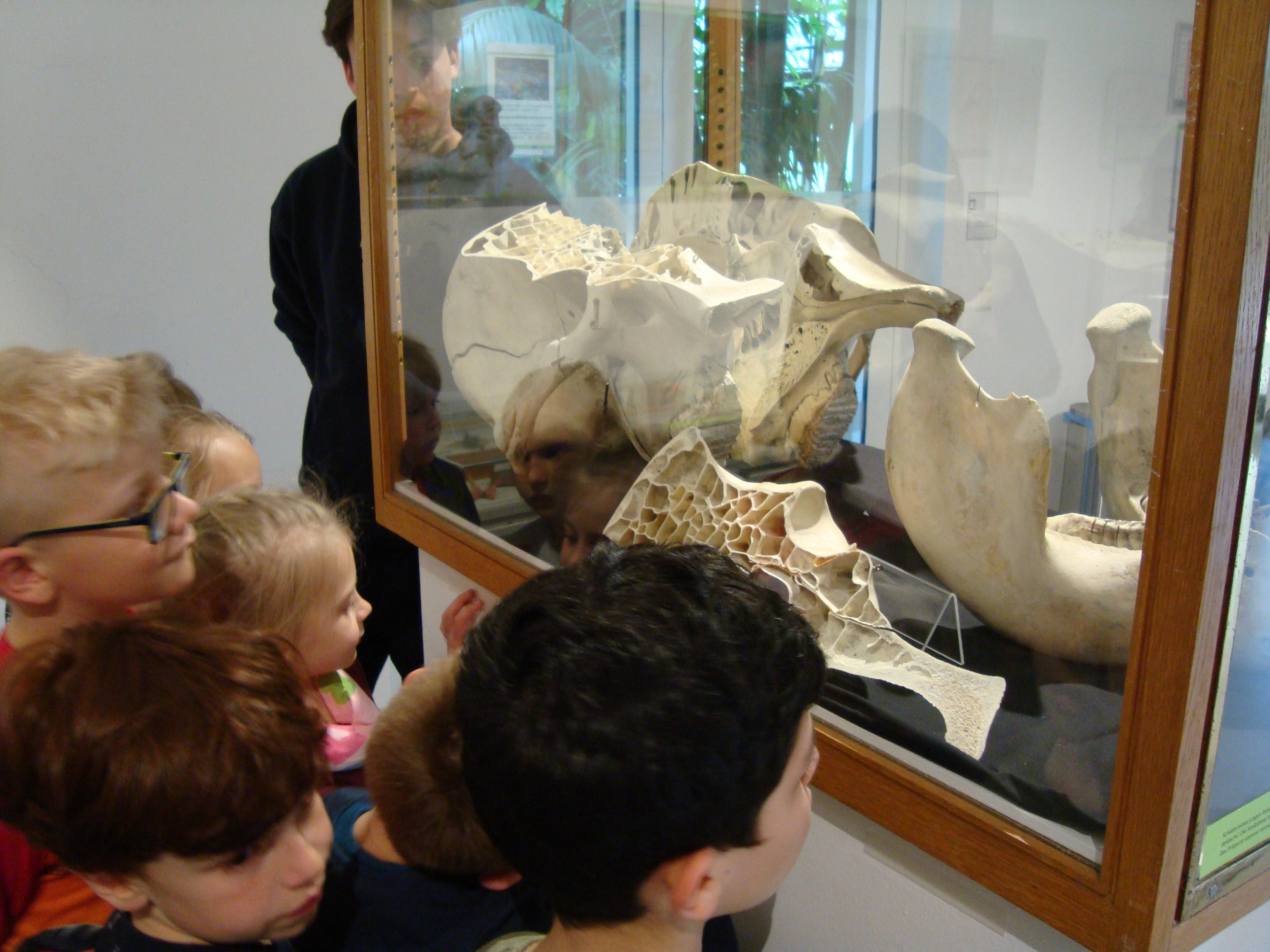 Ganztagsschule Heuchelhof_Bionik_3