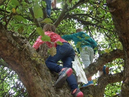 Apfel Grundschule Heuchelhof