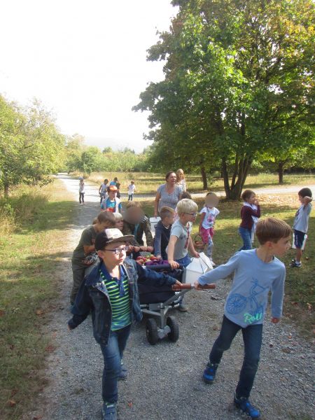 Apfeltag Grundschule Heuchelhof