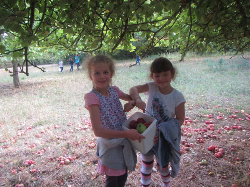 Grundschule Heuchelhof Apfeltag