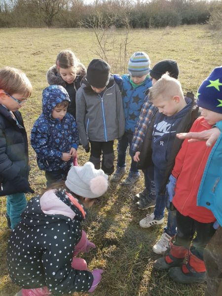 Ganztagsschule Heuchelhof Beweidung 2