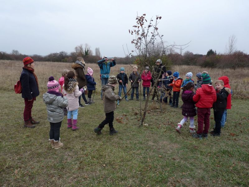 Ganztagsschule Heuchelhof Naturschutzgebiet 6