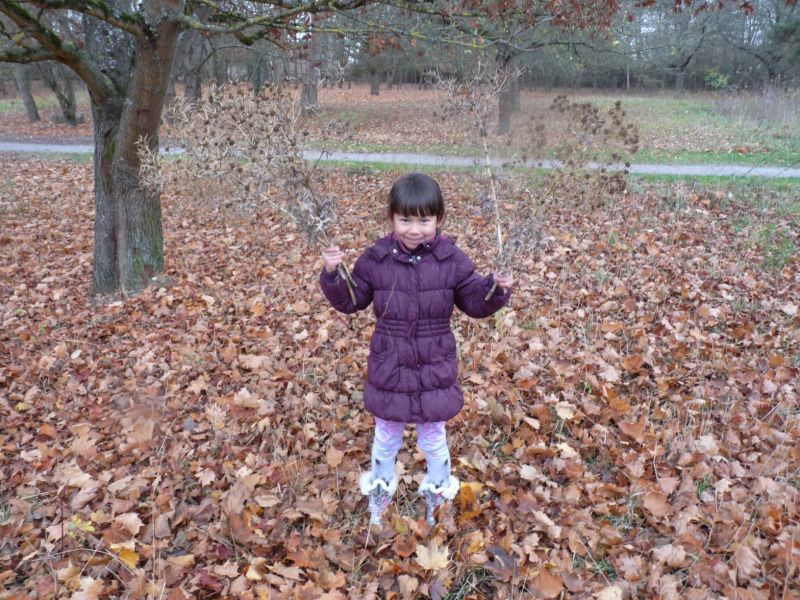 Ganztagsschule Heuchelhof Naturschutzgebiet 3