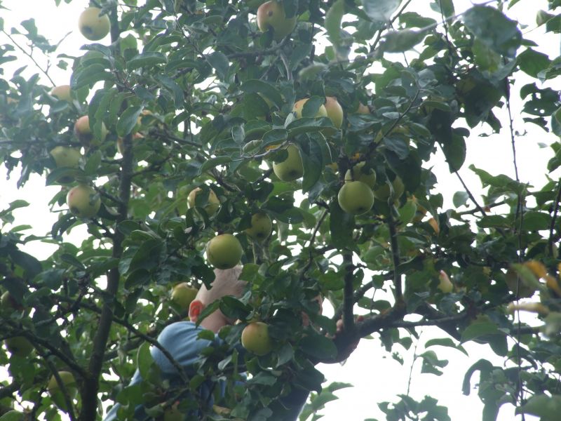 Ganztagsschule Heuchelhof