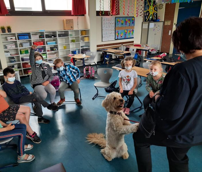 Hund Grundschule Heuchelhof