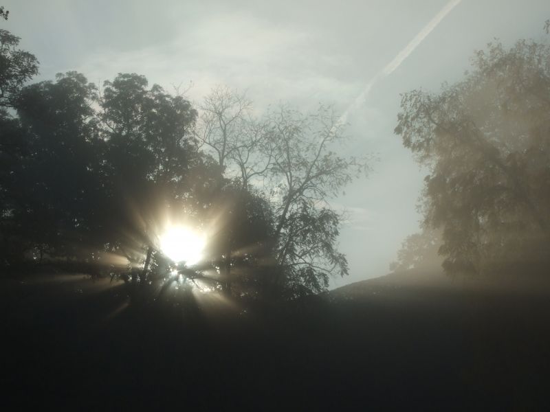 Ganztagsschule Heuchelhof Gauklerfest 1