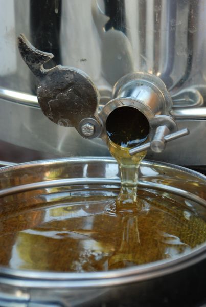 Umweltschule Grundschule Heuchelhof